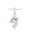 Ash pendant 925 silver 'Dolphin'