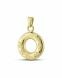 Ashes pendant with pawprints (14 krt. yellow gold)