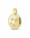 Ashes pendant with pawprints (14 krt. yellow gold)