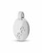 Ashes pendant Silver (925) 'Pawprints'