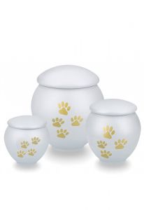 Light grey pet urn with gold coloured paws