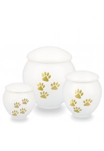 White pet urn with gold coloured paws
